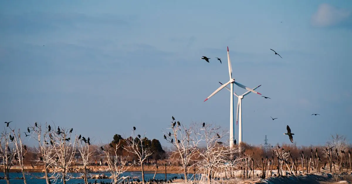 Mejores Sistemas de Monitoreo de Energía